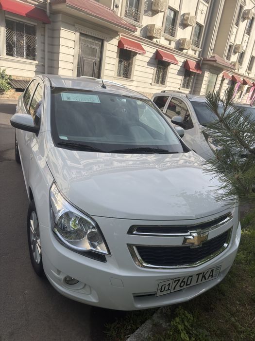 Cobalt M7 arenda