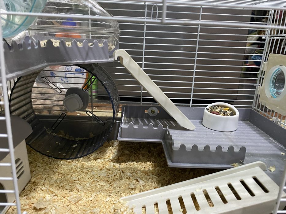 Клетка с хомяком