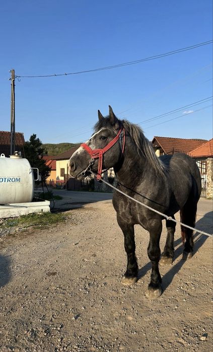 De vânzare sau schimb