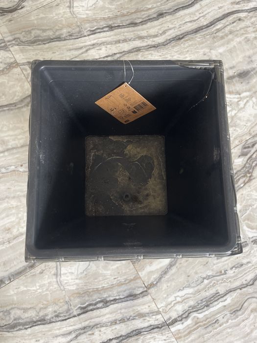 Planta de apartament Crinul pacii