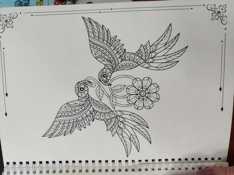 Раскраска для детей 3-7 лет выше