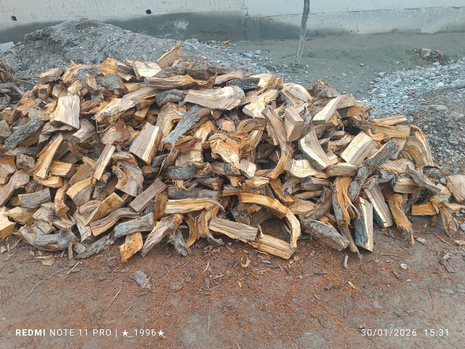 Oʻrik va bodom oʻtini