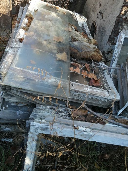 отдам за символическую цену