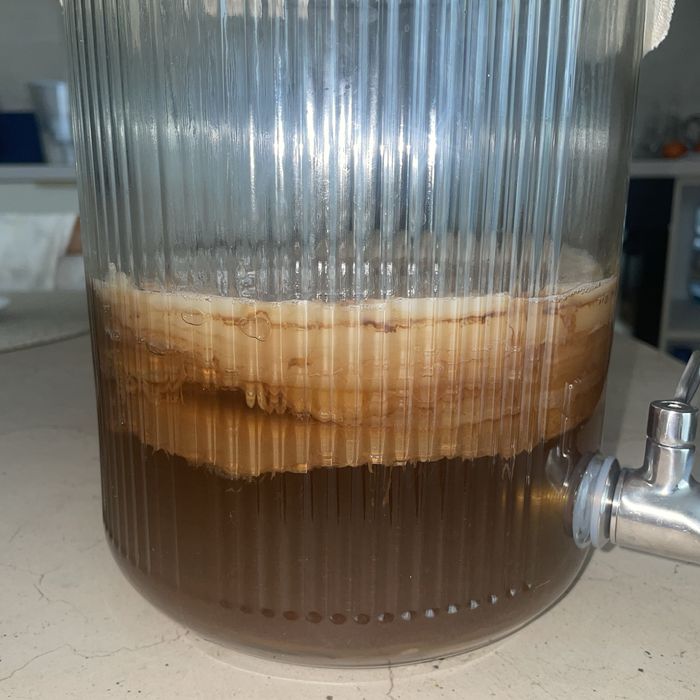 Ciuperca combucea ( probiotic natural)