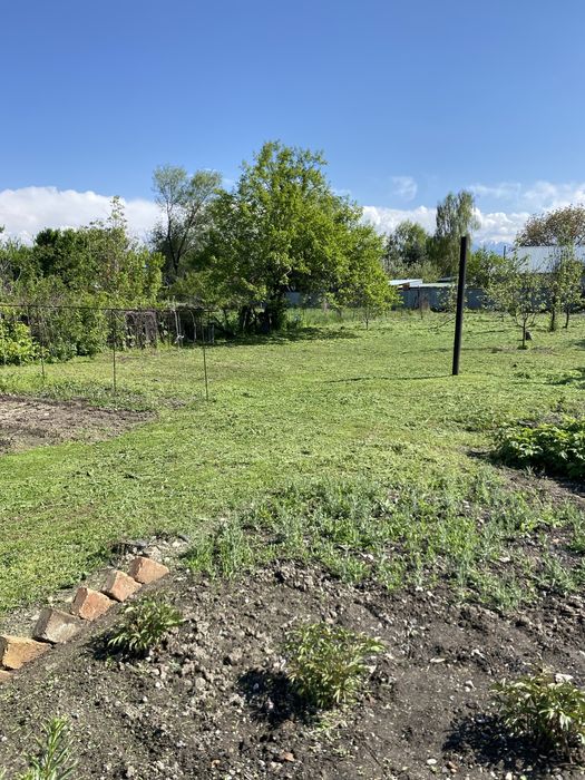 Покос травы с Триммером