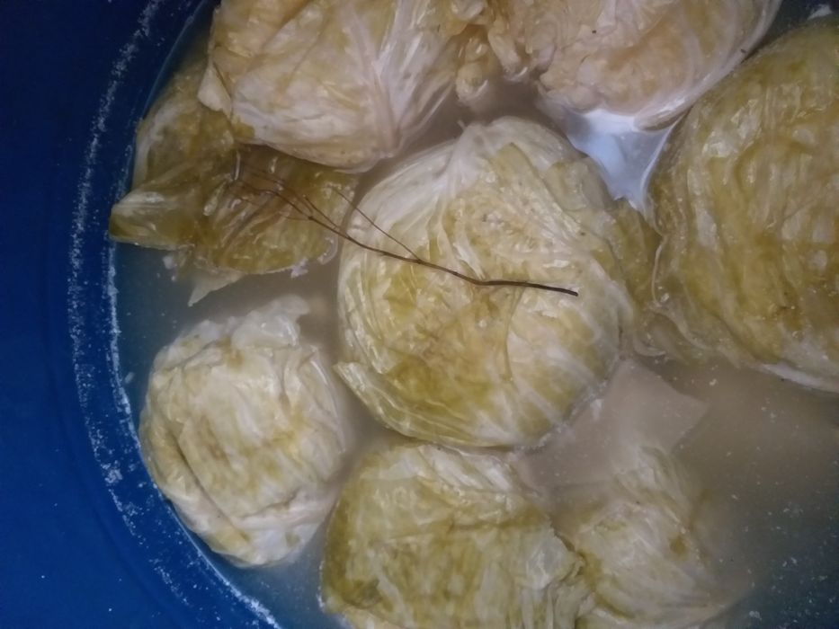 Vând varză murată calitate deosebită