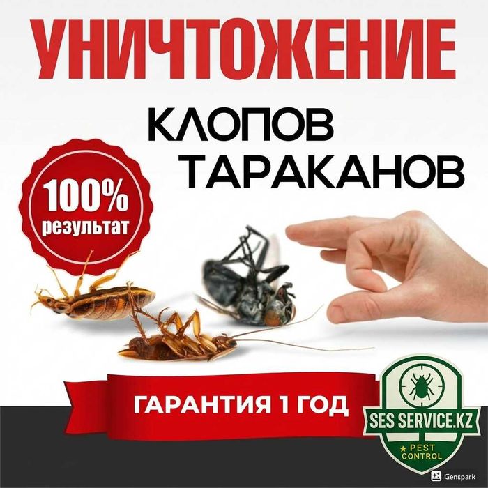 Дезинфекция Павлодар | Обработка квартир СЭС от 15000 тг