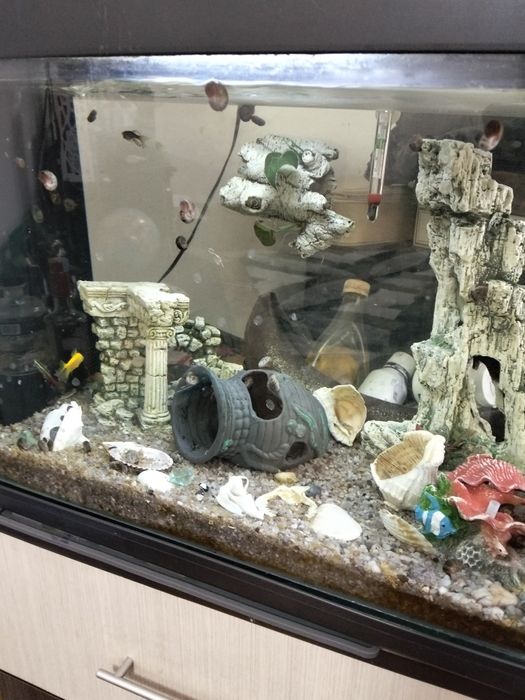 Acvariu echipat complet