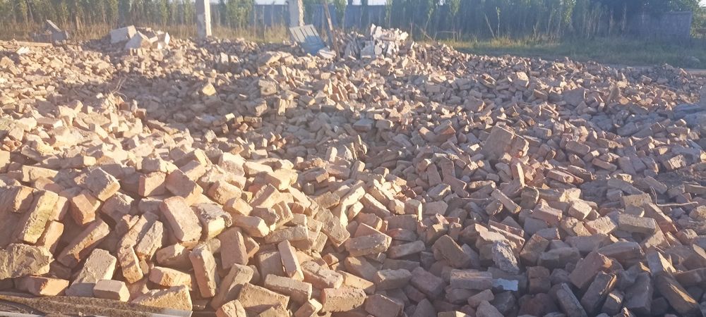 Pishgan Gish kop miqdorda kelishtirib bervoraman bekabod Zafardan