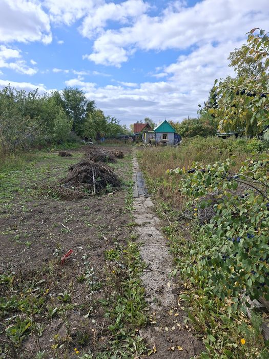 Продам или сдам в оренду дачу Черёмушки