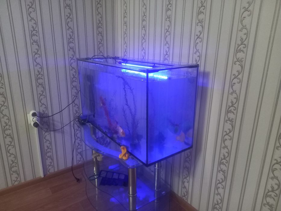 Продам аквариум с рыбками.
