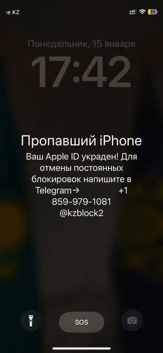 Ваш iPhone заблокирован? Не дайте мошенникам обмануть вас!