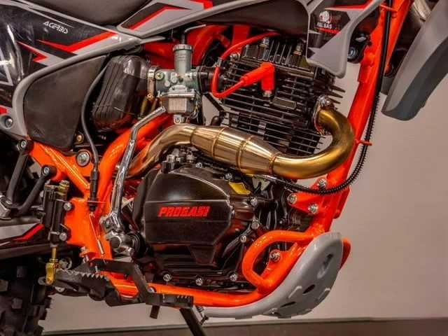 Progasi Palma 250 SE (165FMM) 21/18