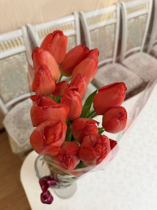 Тюльпаны 13 шт свежие
