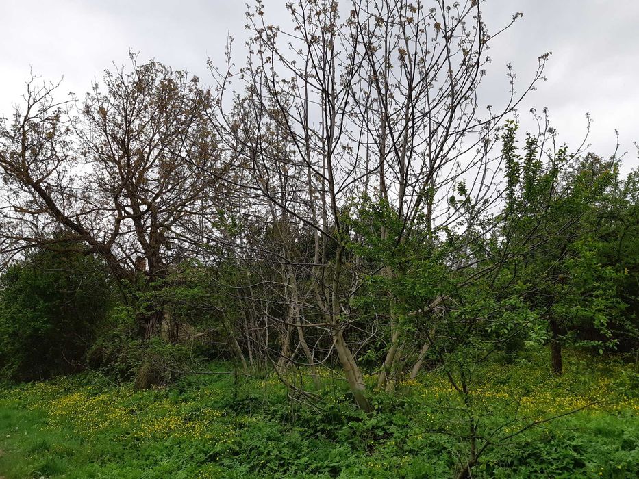 Продавам къща с парцел
с. Звезда, Търговище