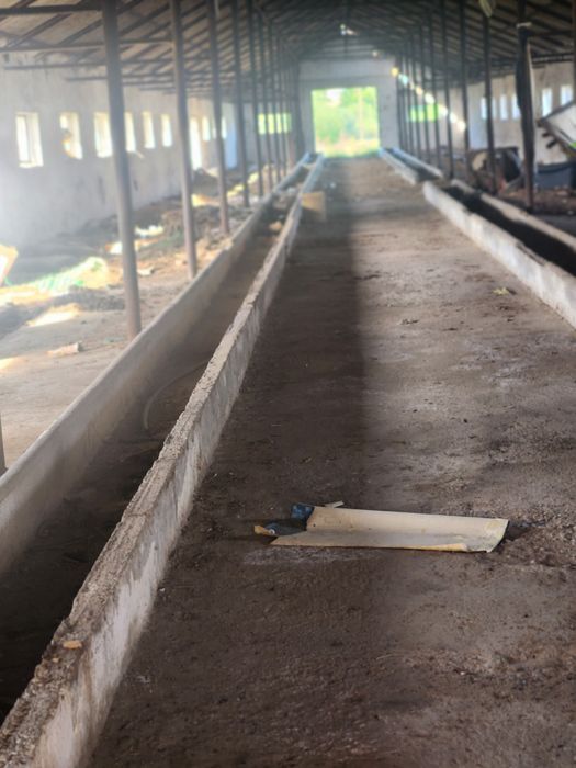 Inchiriez 2 Hale 2000m Sat Rausor Brașov