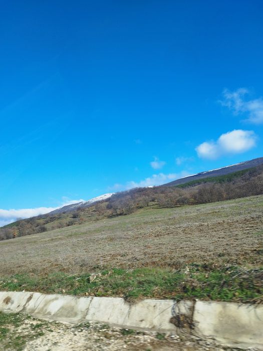 Дава се под наем Парцел в с. Кошарица, Област Бургас - 10500 кв.м за 25.5 € - Снимка #1