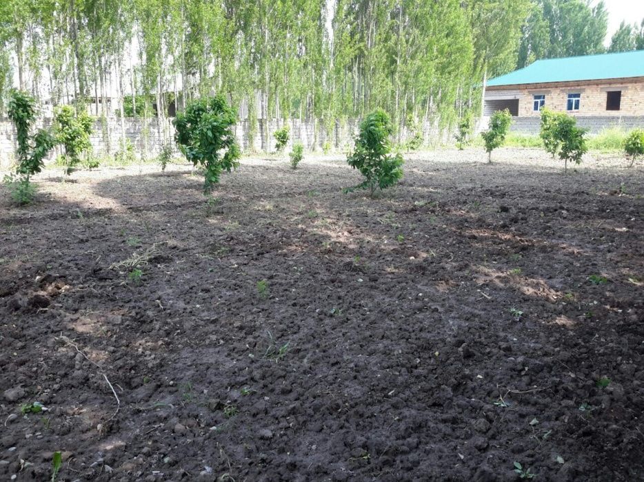 Участок , дом , новый Узбекистан и  новый Ташкент