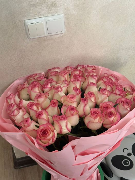 Розовые Свежие Розы