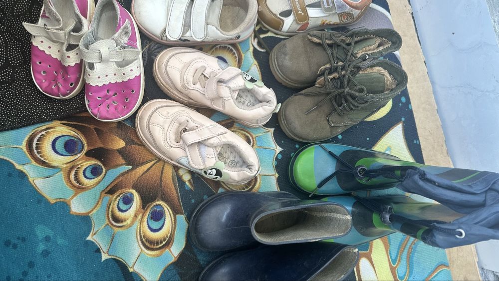 Отдам бесплатно