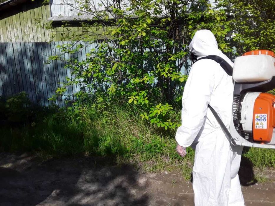 Дезинфекция насекомых Dezinfeksiya dezenfeksiya dizinfeksiya 24 soat