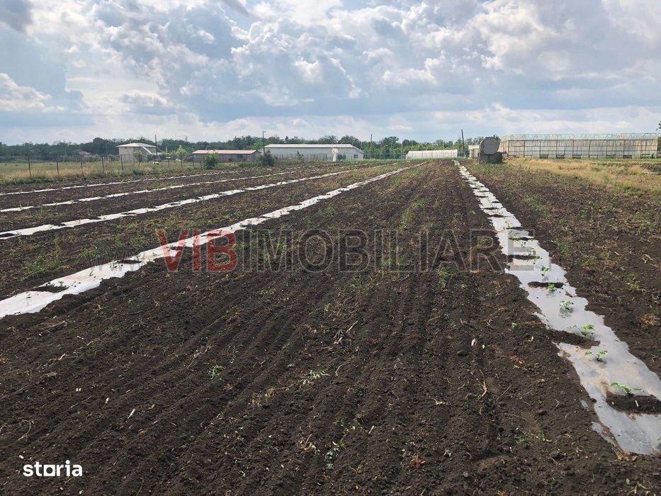 Fermă de vânzare | 3 ha | Între București și Constanța | Exploatație a