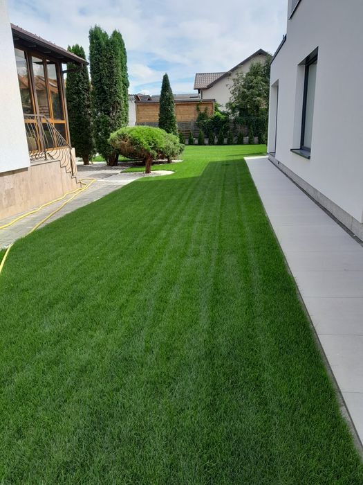 Gazon Rulou  / Amenajări Grădini