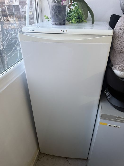 Sang фризерSangg