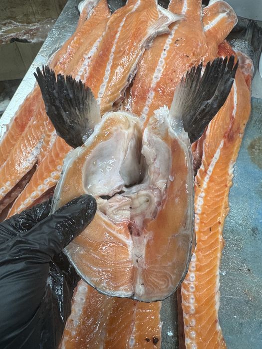 Головы Семги 200 тг, РЫБА