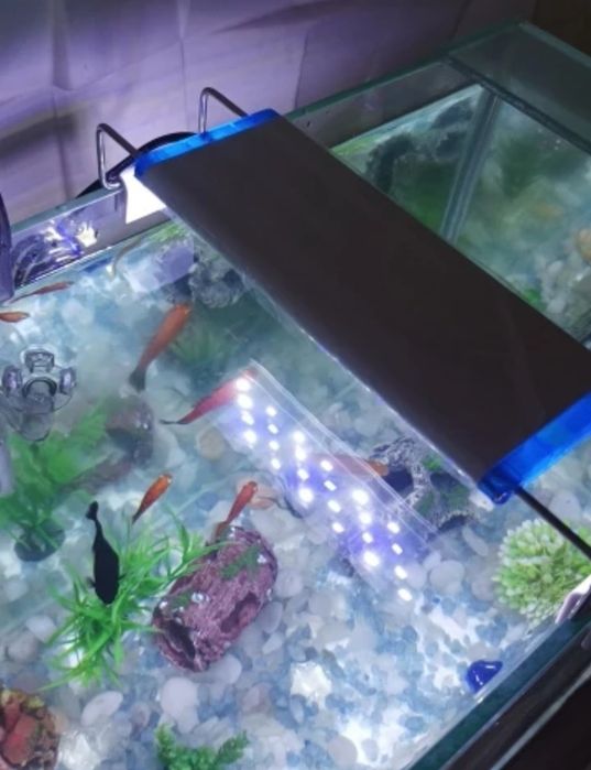 Специализирани аквариумни лампи и корени от азалия