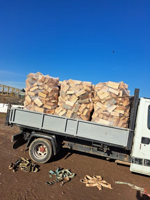 Lemne de foc fag tăiate și crăpate