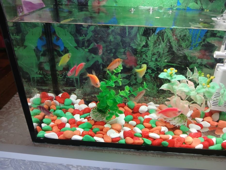 Аквариум 15 литр сатылады