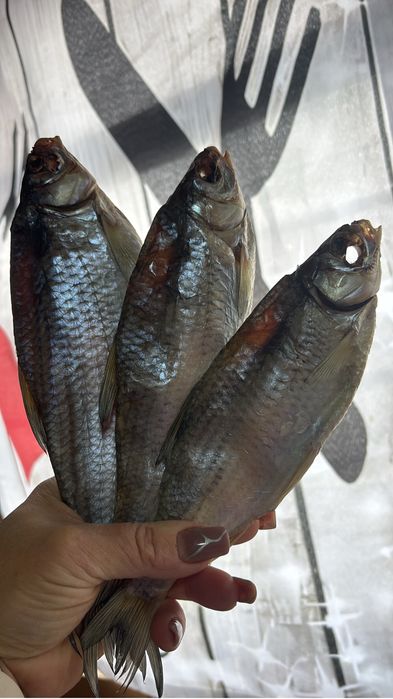 Рыба атырау в наличии