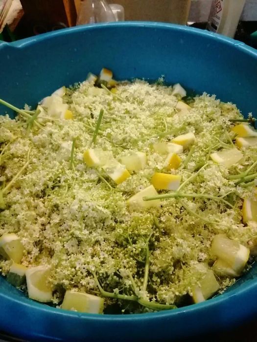 Сироп Бъз- чист и домашен