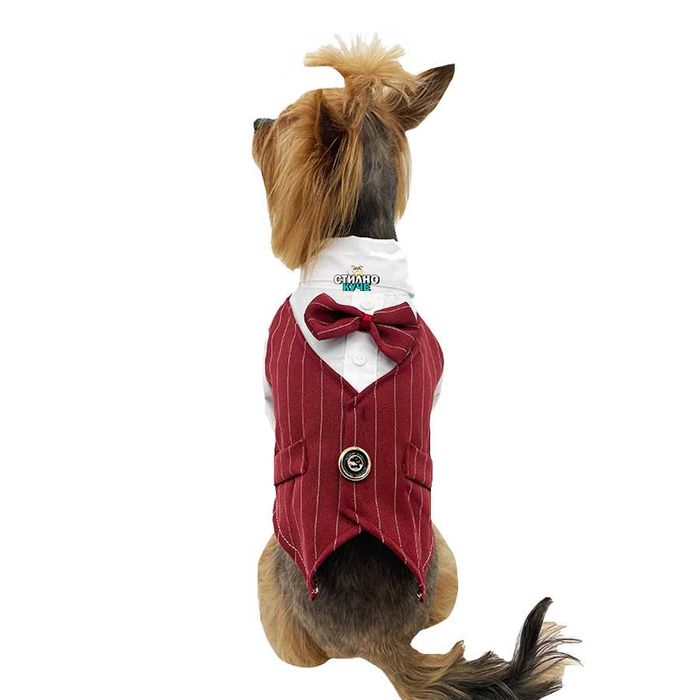 Смокинг за куче Официална дреха за куче Костюм за куче Сако за куче