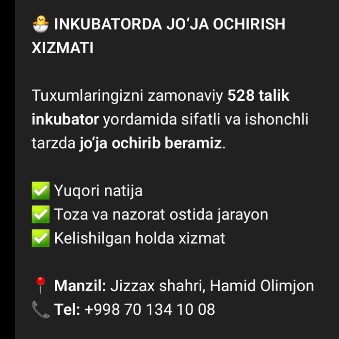 inkubator xizmati
