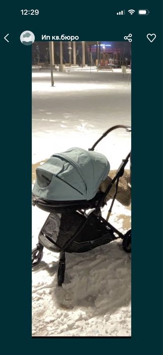 бесик береза дерево