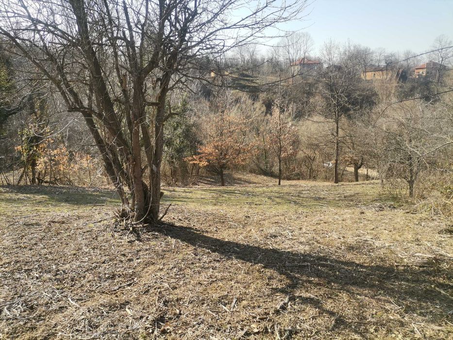 Продавам имот с. Голяма Желязна