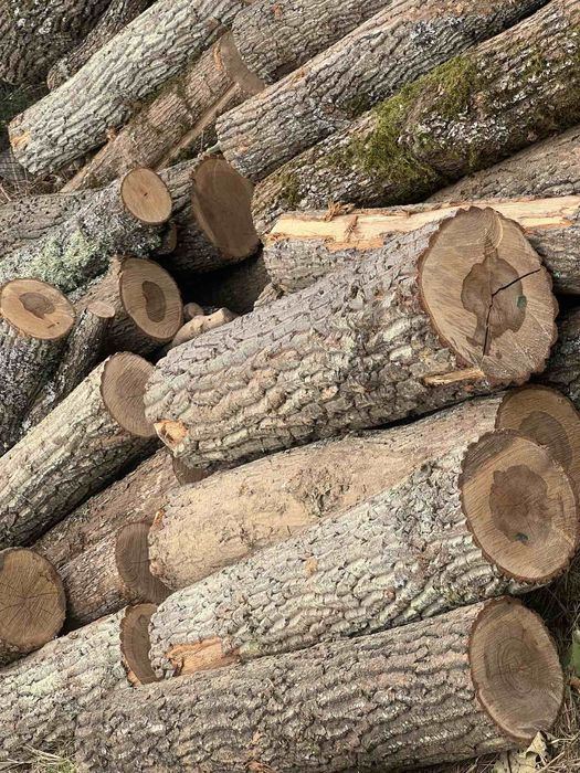 Дърва за огрев! Топла зима..