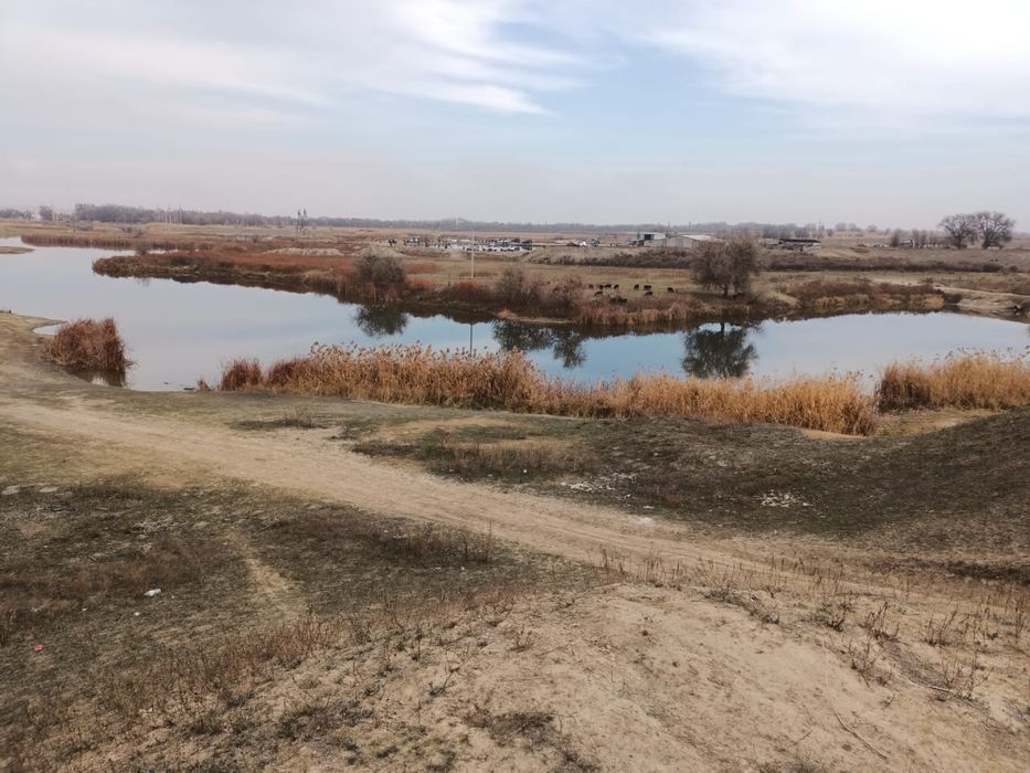 Фазенда земля отдых рыбалка