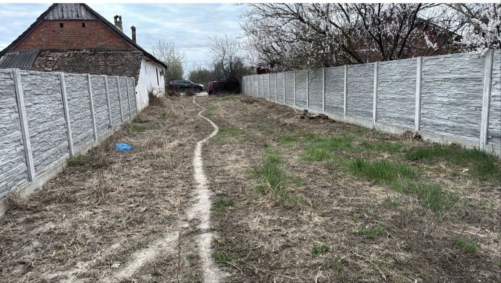 Teren de vânzare Parța 40€mp