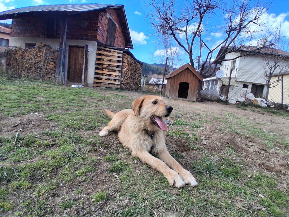 Ловджийски барак