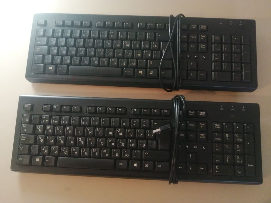 Мышь.  Клавиатура.