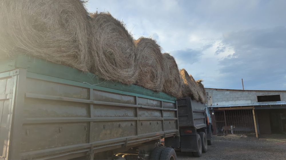 Продам Камаз с прицепом