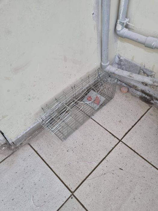 Крысоловка для больших Крыс эффект 100%