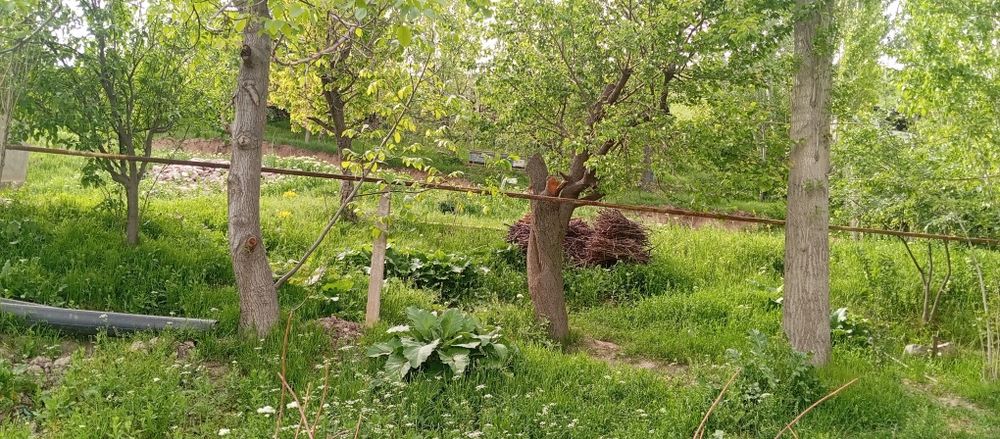 Ер участка сотилади