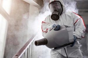 Дезинфекция Dezinfeksiya от Тараканов Клопов Камари Мухи Грызунов 24/7