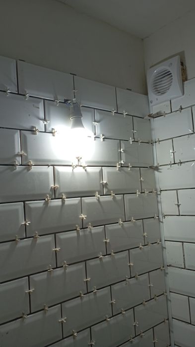 Amenajeri interioare și exterioare