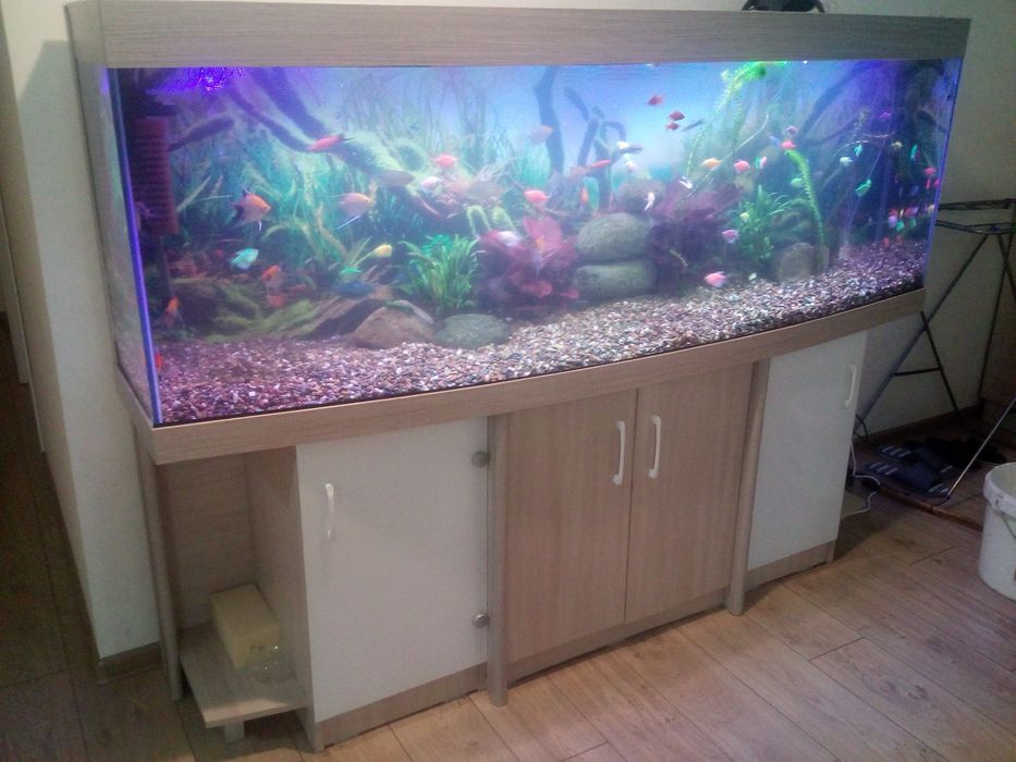 Аквариумы на заказ