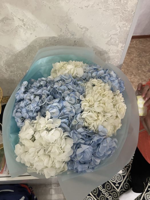 Свежий гул бугин келген